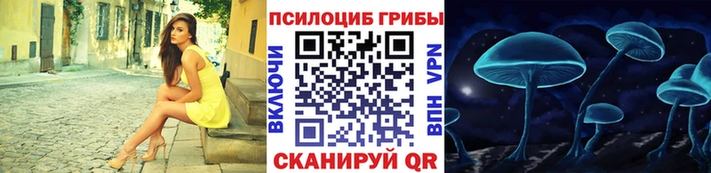 Псилоцибиновые грибы Psilocybine cubensis блэк спрут вход Сычёвка наркотики